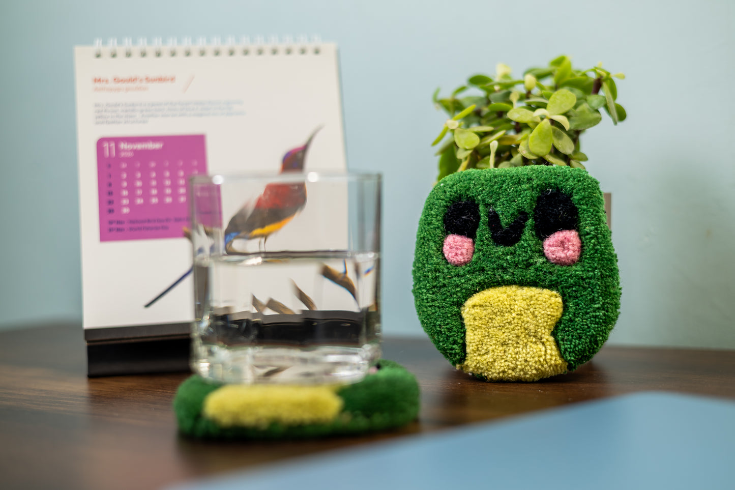 Froggie Blush (HT-0804)